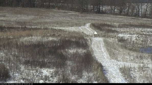 Cell 1 to 2_24-02-24_10-01-42-92