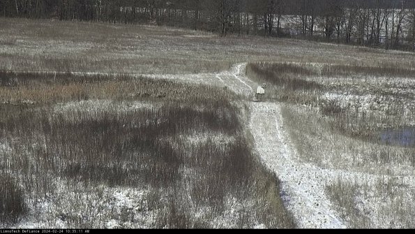 Cell 1 to 2_24-02-24_10-35-11-94