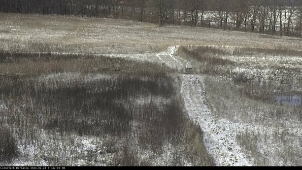 Cell 1 to 2_24-02-24_11-42-09-90