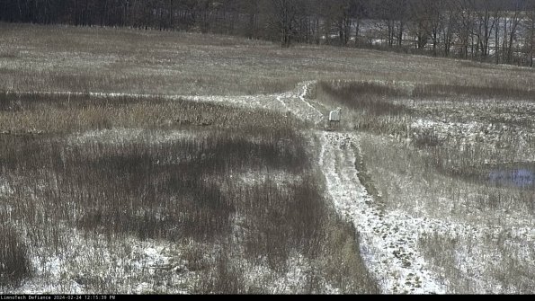 Cell 1 to 2_24-02-24_12-15-39-92