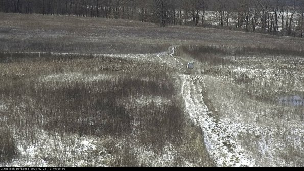 Cell 1 to 2_24-02-24_12-49-09-94