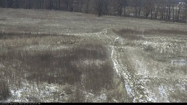 Cell 1 to 2_24-02-24_14-29-37-92