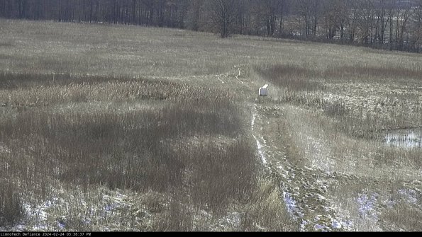 Cell 1 to 2_24-02-24_15-36-37-92