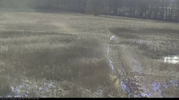 Cell 1 to 2_24-02-24_17-17-05-90