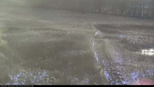 Cell 1 to 2_24-02-24_17-50-34-91