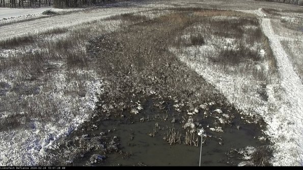 Cell 1_24-02-24_10-01-28-91