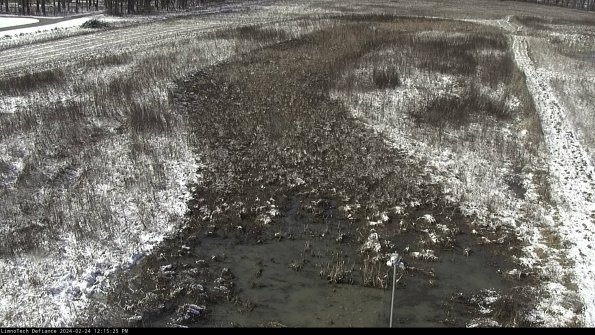 Cell 1_24-02-24_12-15-25-94