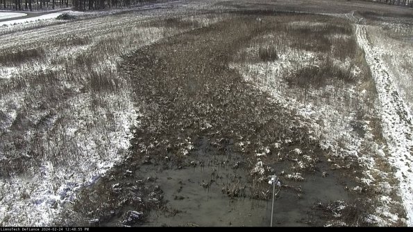 Cell 1_24-02-24_12-48-55-92