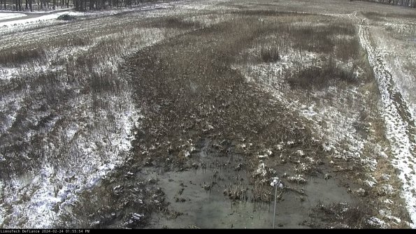 Cell 1_24-02-24_13-55-54-92