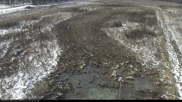 Cell 1_24-02-24_14-29-23-94