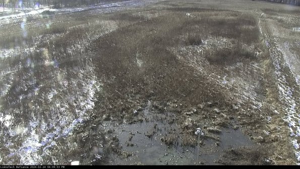 Cell 1_24-02-24_16-09-53-92