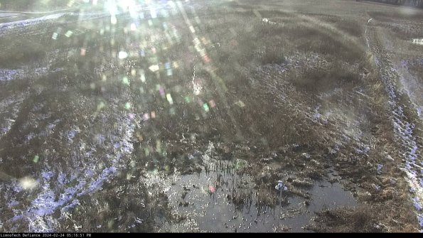 Cell 1_24-02-24_17-16-51-95