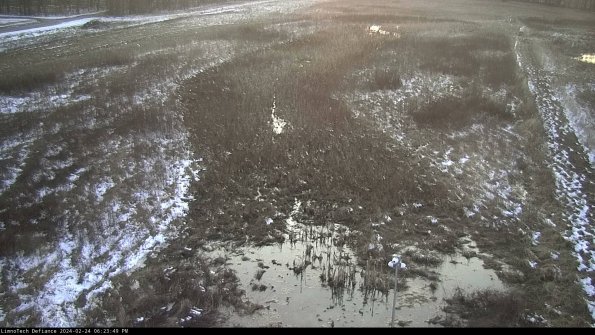 Cell 1_24-02-24_18-23-49-95