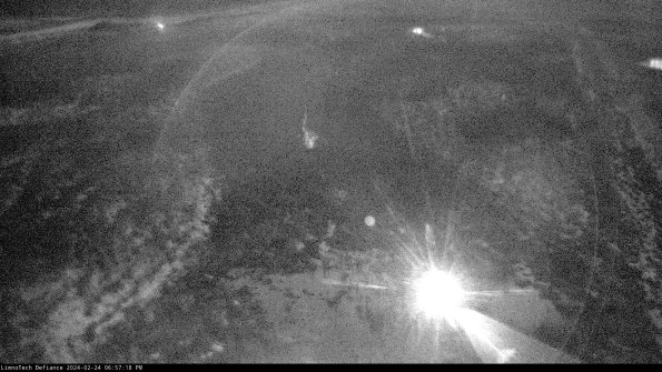 Cell 1_24-02-24_18-57-18-92