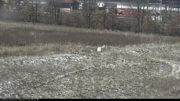 Cell 2 to 3_24-02-24_13-56-35-03