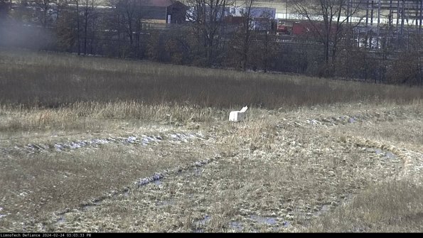 Cell 2 to 3_24-02-24_15-03-34-03