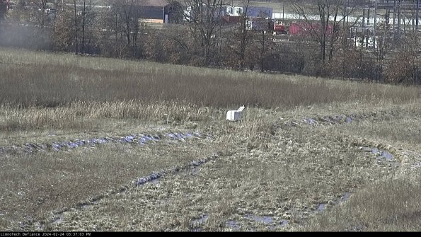 Cell 2 to 3_24-02-24_15-37-04-01