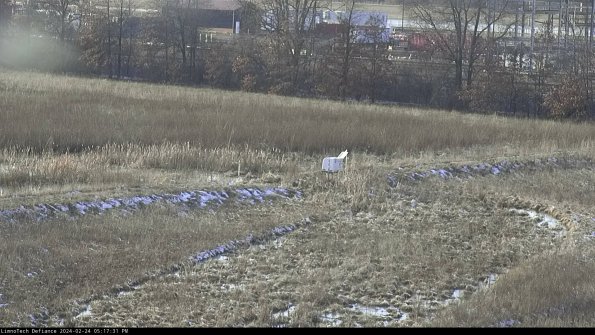 Cell 2 to 3_24-02-24_17-17-32-06