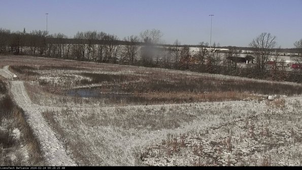 Cell 2_24-02-24_09-28-25-98