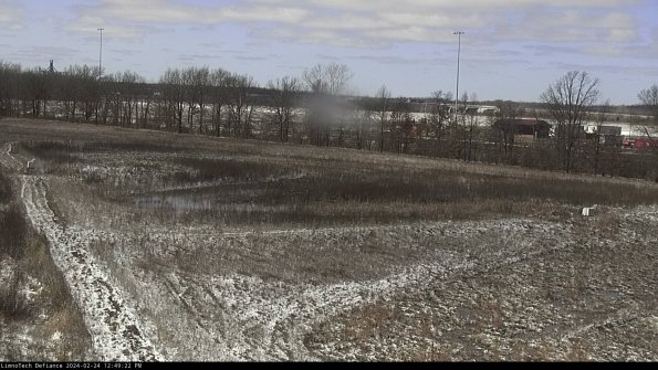 Cell 2_24-02-24_12-49-22-95