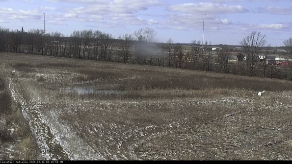 Cell 2_24-02-24_14-29-50-93