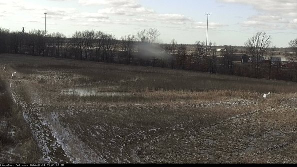 Cell 2_24-02-24_15-03-20-95