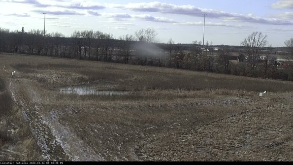 Cell 2_24-02-24_16-10-20-91