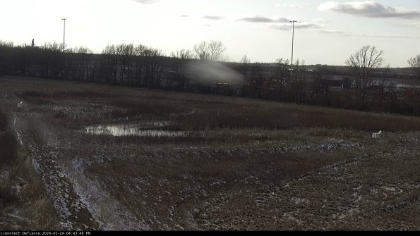 Cell 2_24-02-24_16-43-49-00