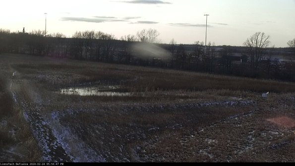 Cell 2_24-02-24_17-50-47-96