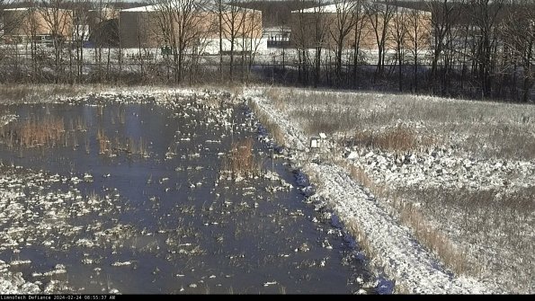 Cell 3 to 4_24-02-24_08-55-37-95