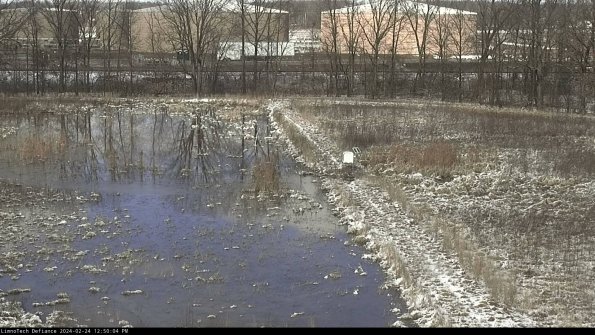 Cell 3 to 4_24-02-24_12-50-04-93