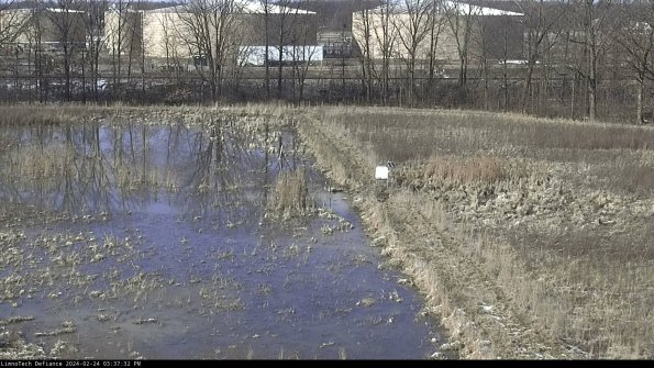 Cell 3 to 4_24-02-24_15-37-32-91