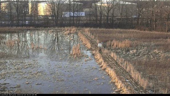 Cell 3 to 4_24-02-24_17-51-29-93