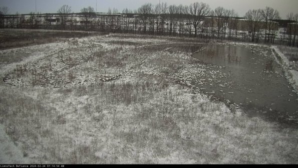 Cell 3_24-02-24_07-14-54-93