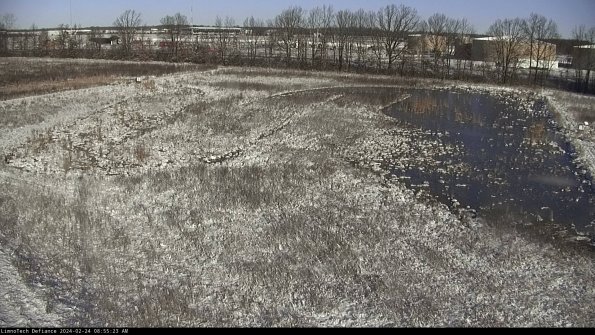 Cell 3_24-02-24_08-55-23-93