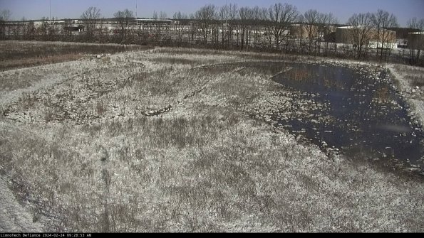 Cell 3_24-02-24_09-28-53-95