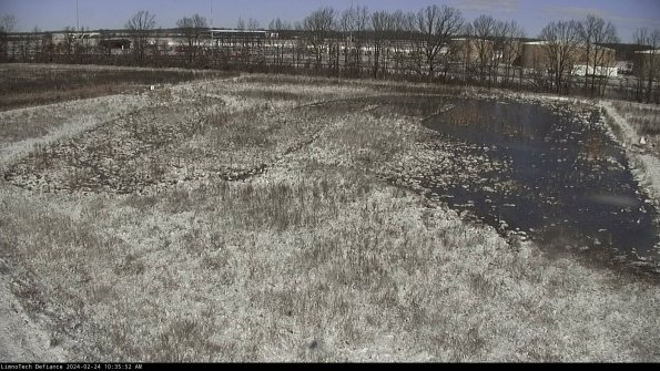 Cell 3_24-02-24_10-35-52-91