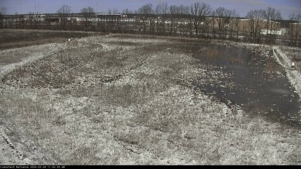 Cell 3_24-02-24_11-42-50-91