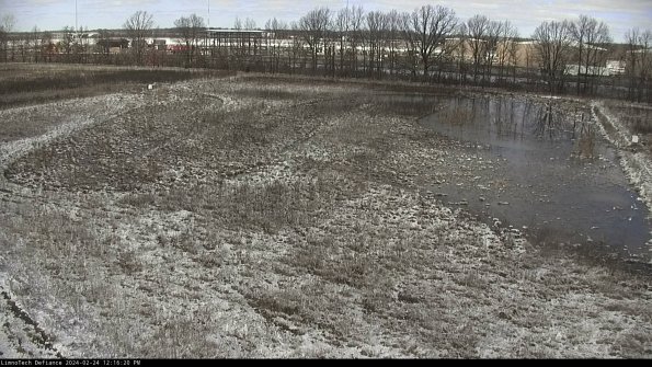 Cell 3_24-02-24_12-16-20-93