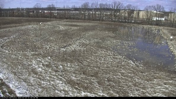 Cell 3_24-02-24_13-56-49-94