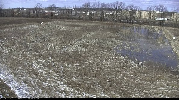 Cell 3_24-02-24_14-30-18-93