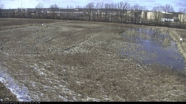 Cell 3_24-02-24_15-37-18-93