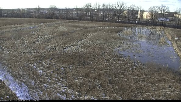 Cell 3_24-02-24_17-17-46-94