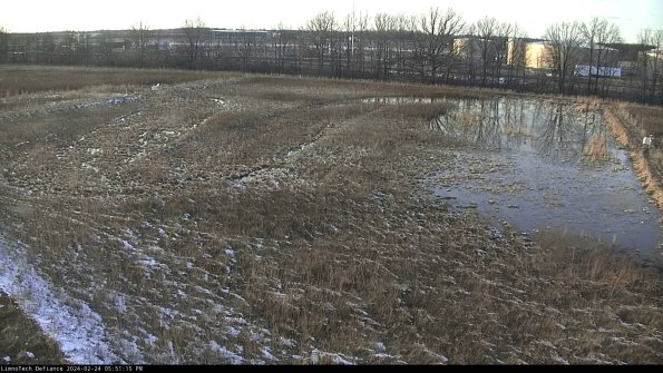 Cell 3_24-02-24_17-51-15-92