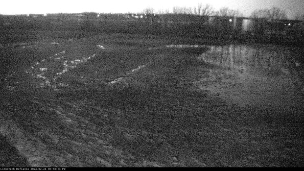 Cell 3_24-02-24_18-58-14-94