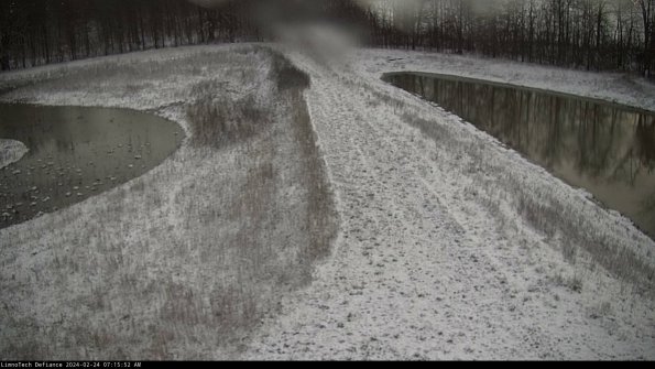 Cell 4 to Basin_24-02-24_07-15-52-92