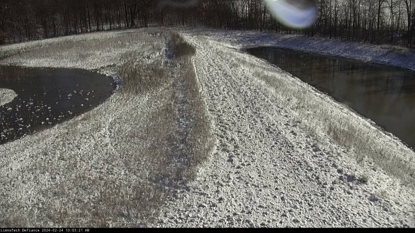 Cell 4 to Basin_24-02-24_10-03-21-95