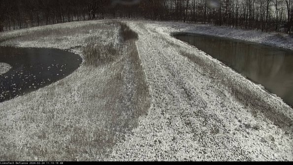 Cell 4 to Basin_24-02-24_11-10-19-92