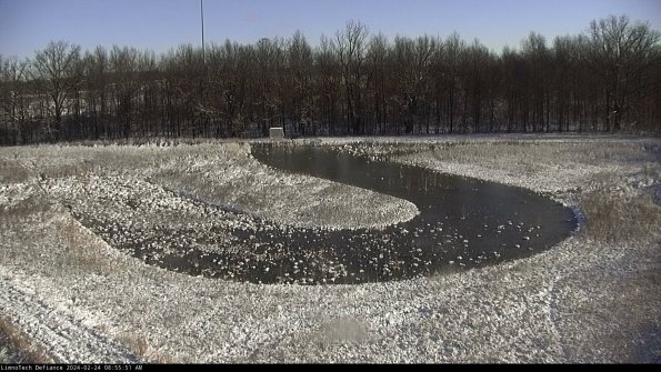 Cell 4_24-02-24_08-55-51-93