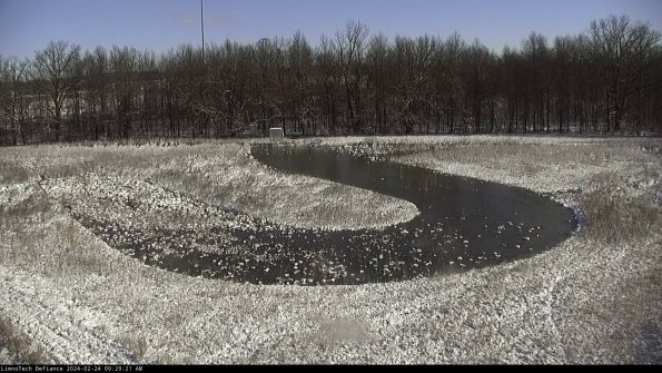 Cell 4_24-02-24_09-29-21-91